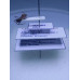THE ANTS - AN INTRODUCTION (Certificate Course) September 2025. Course Duration: 6 Weeks